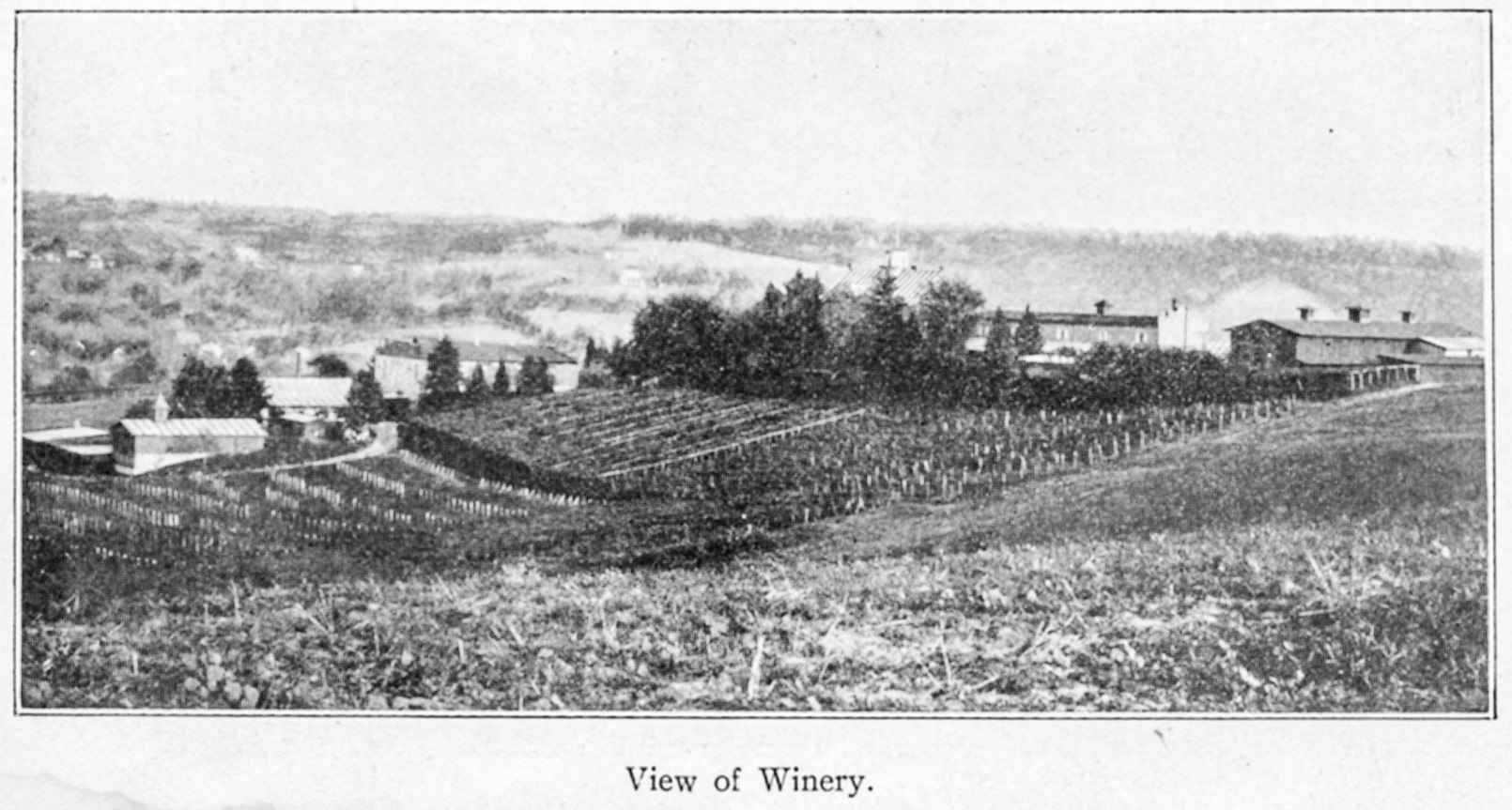 view of stone hill winery pre-prohibition