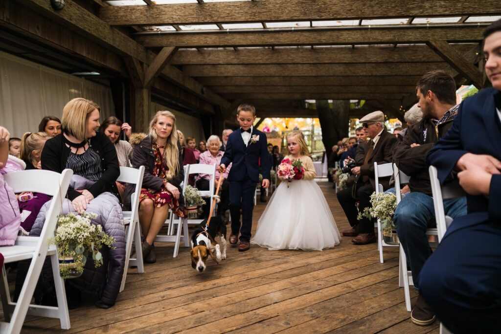 Ring bearer, flower girl and a beagle walking the aisle at a wedding on the Sherry House Pavilion deck