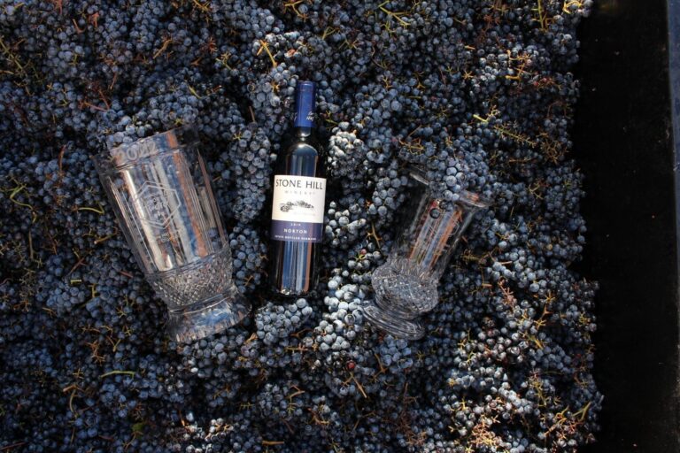 Bottle of Stone Hill 2019 Norton in a bin of freshly picked Norton grapes, between two crystal award trophies including the 2022 Missouri Governor’s Cup