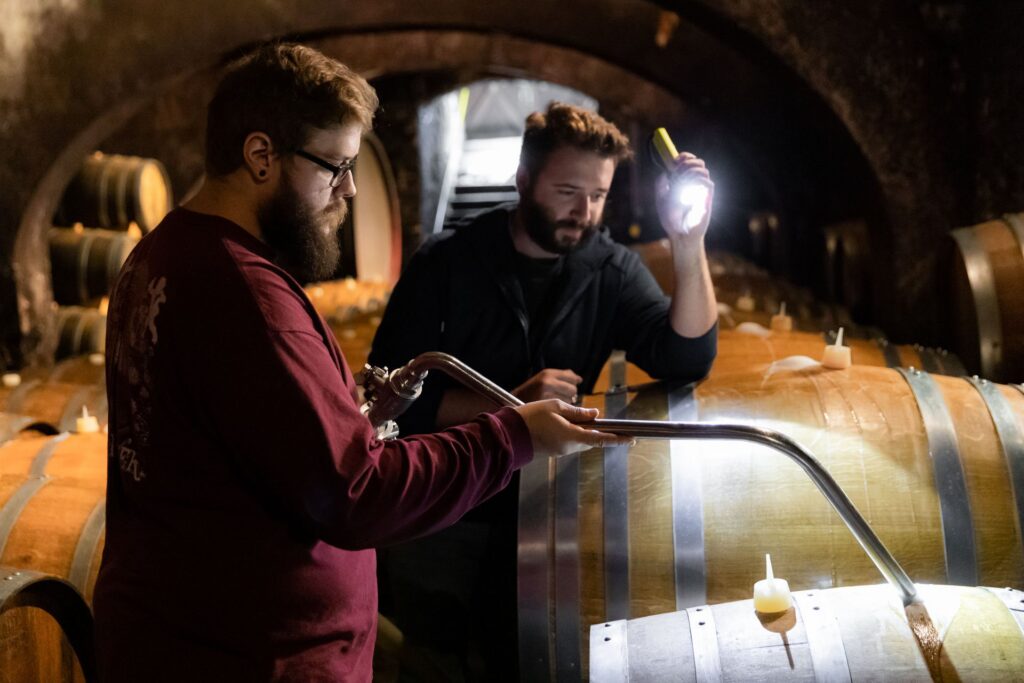 Two winemakers drawing a barrel sample with a wine thief by flashlight in the arched cellar